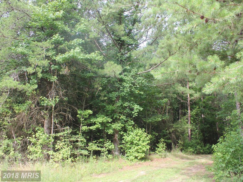 24393 Mount Pleasant Road - Photo 1
