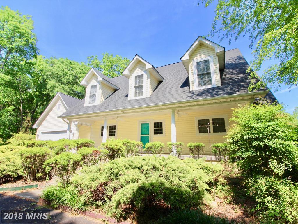 13108 Black Walnut Lane - Photo 1