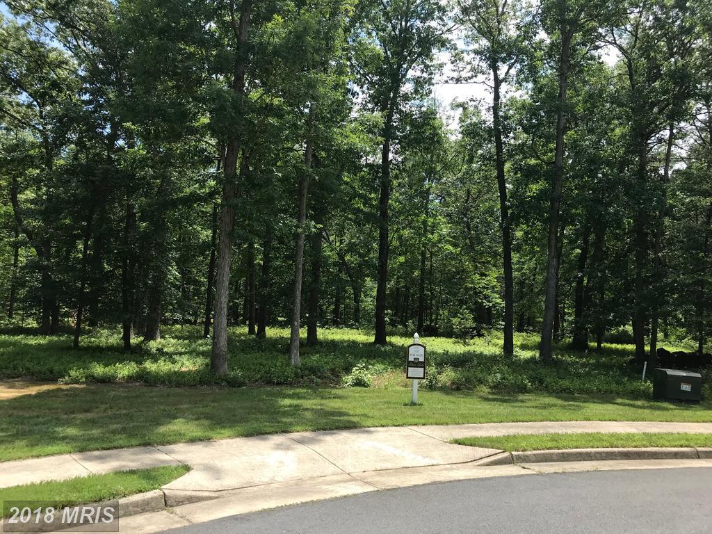 11302 Cromwell Court - Photo 1
