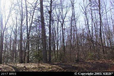 3351 Fisherman Way - Photo 1
