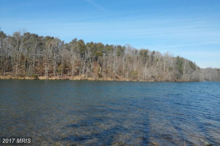 2933 Minor Road - Photo 1