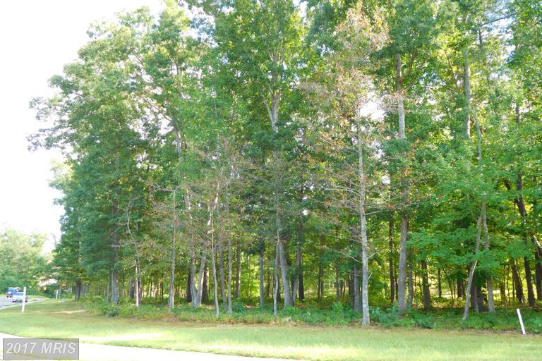 11112 Vanderbilt Cove - Photo 1