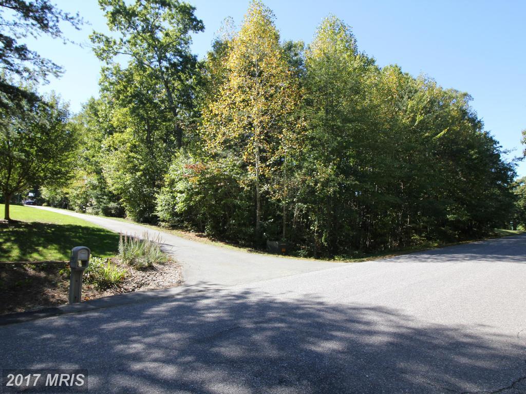 13303 Fox Chase Lane - Photo 1