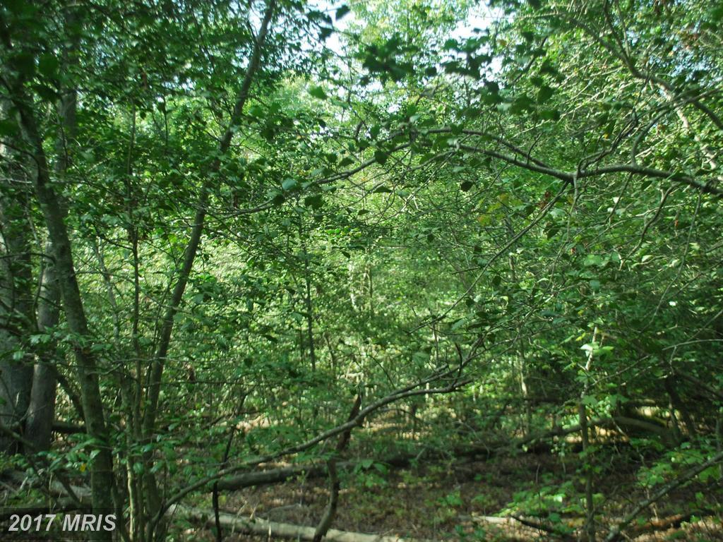 PARCEL 1 Mccarty Road - Photo 1