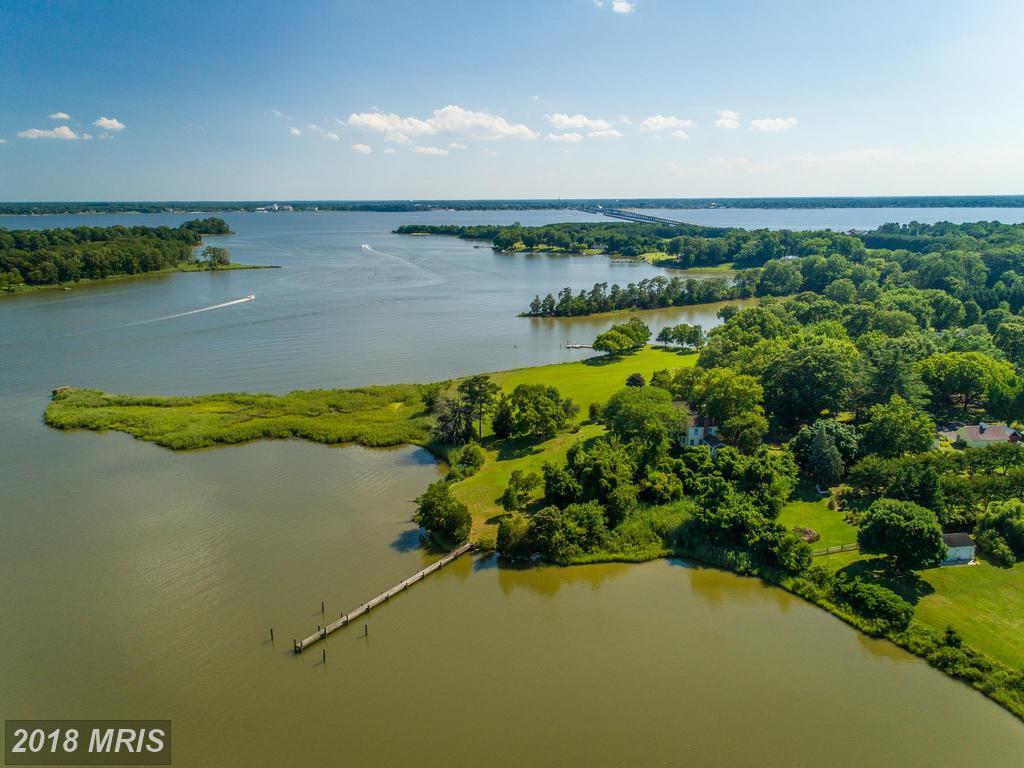 29994 Bolingbroke Lane - Photo 1
