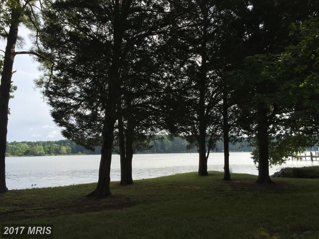 Bush Neck Road - Photo 1