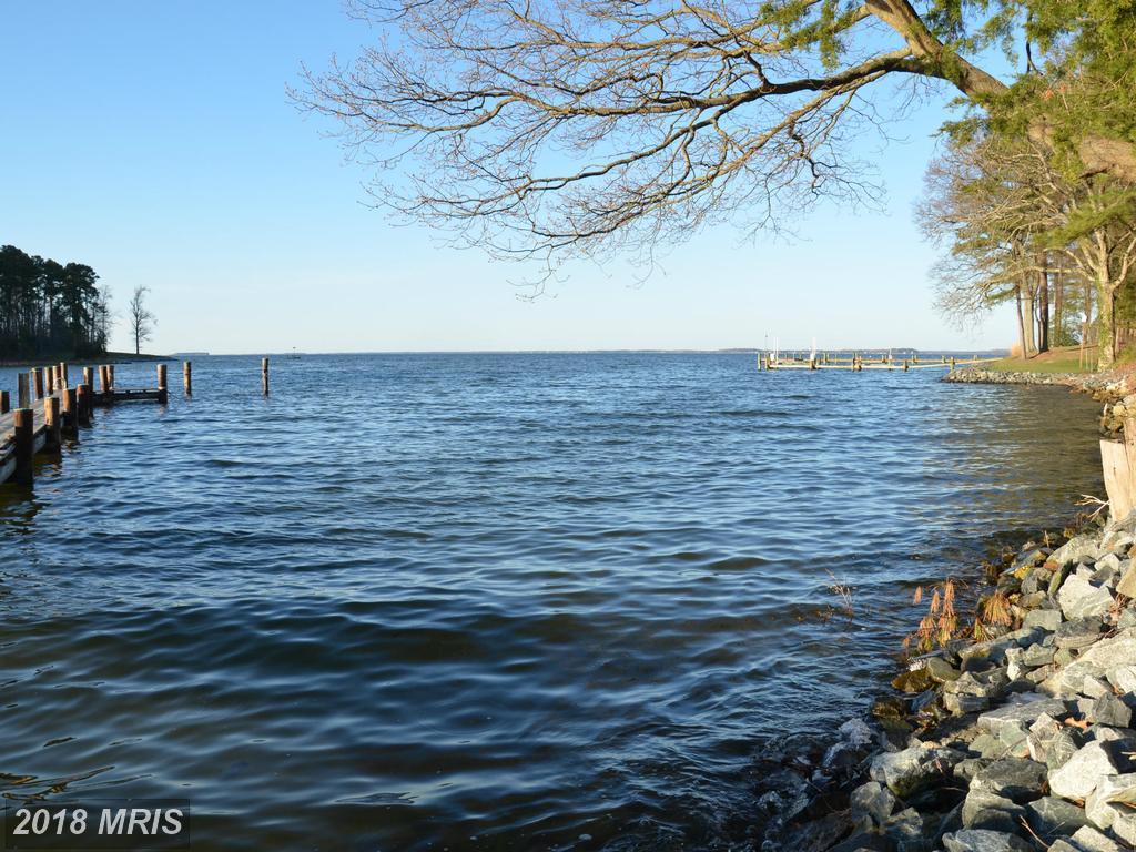 24030 Porters Creek Lane - Photo 1