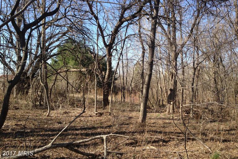 16014 Findlay Mill Road - Photo 1