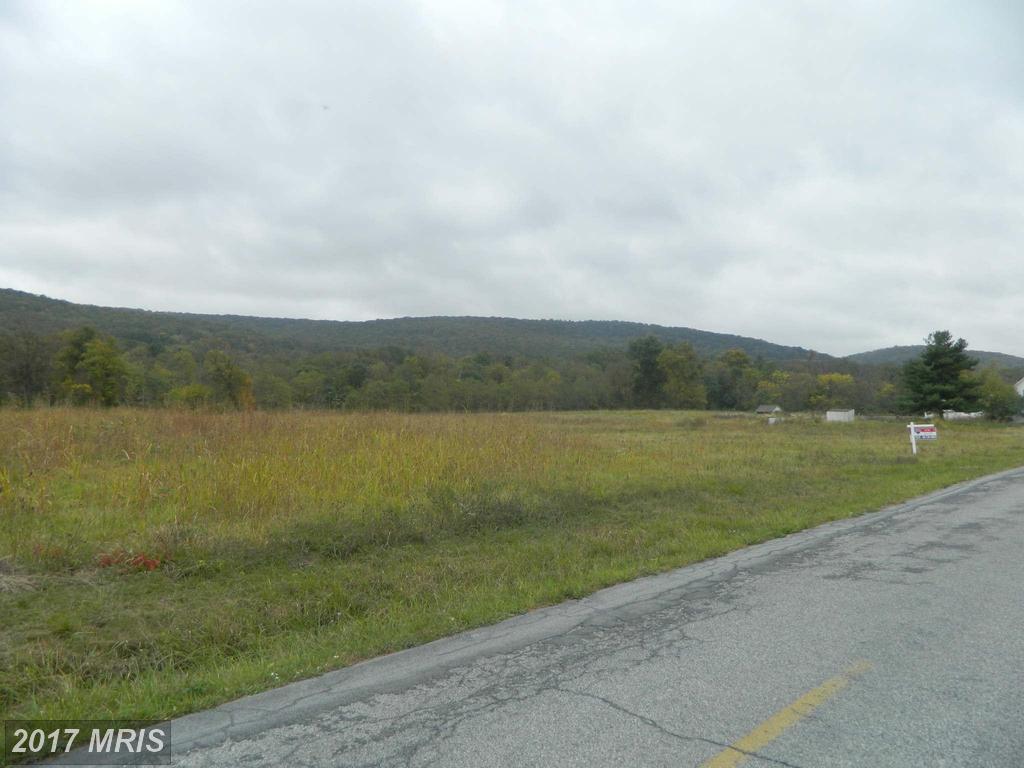 23418 Whitetail Road - Photo 1