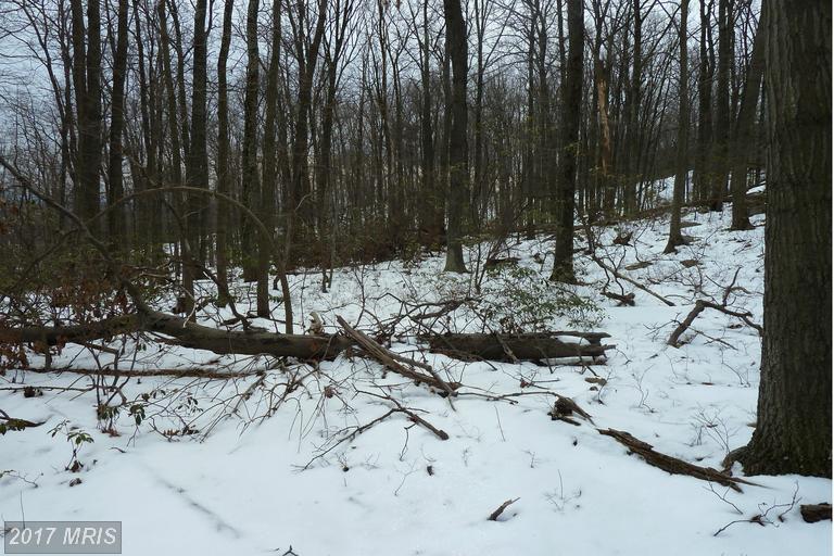 12025 National Pike - Photo 1