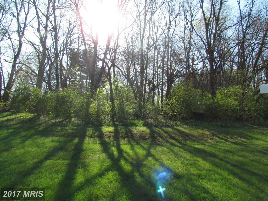 13229 Paradise Church Road - Photo 1