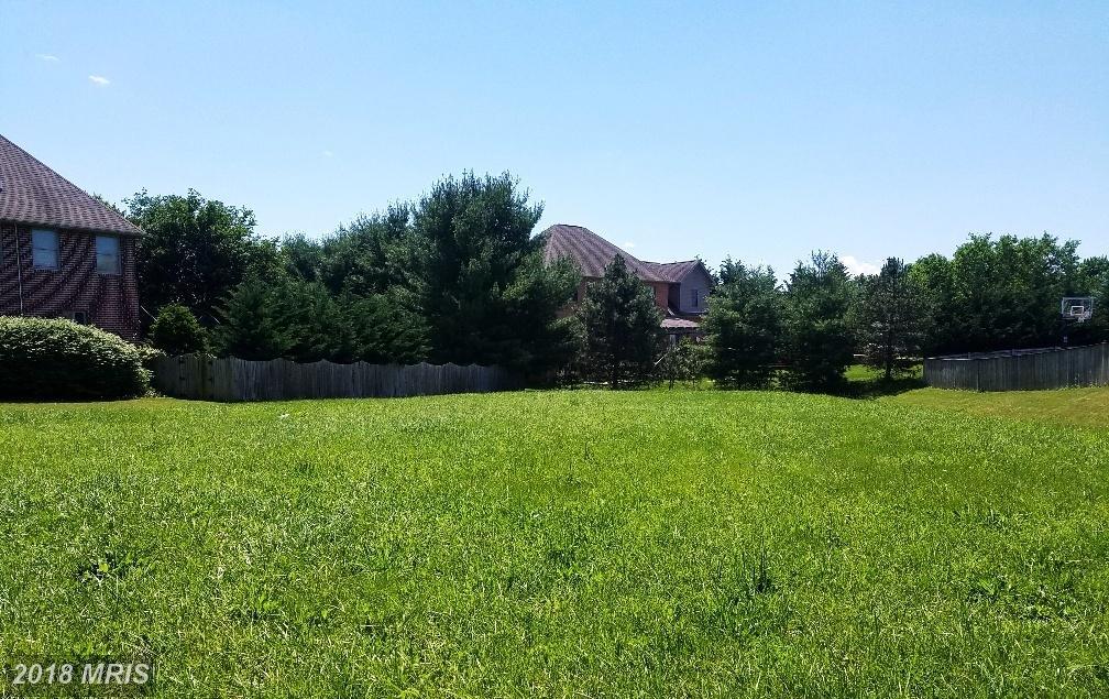 19025 Rock Maple Drive - Photo 1