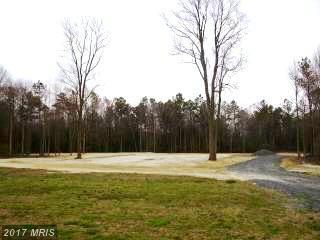 31211 Olde Fruitland Road - Photo 1
