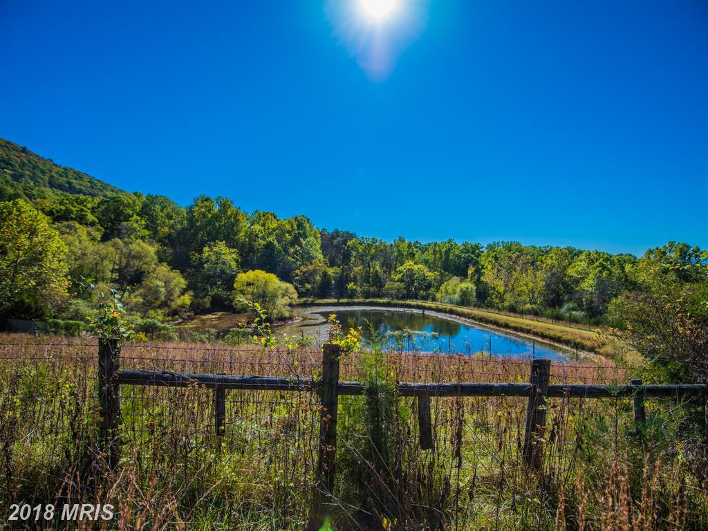 LOT B Rocky Lane - Photo 1