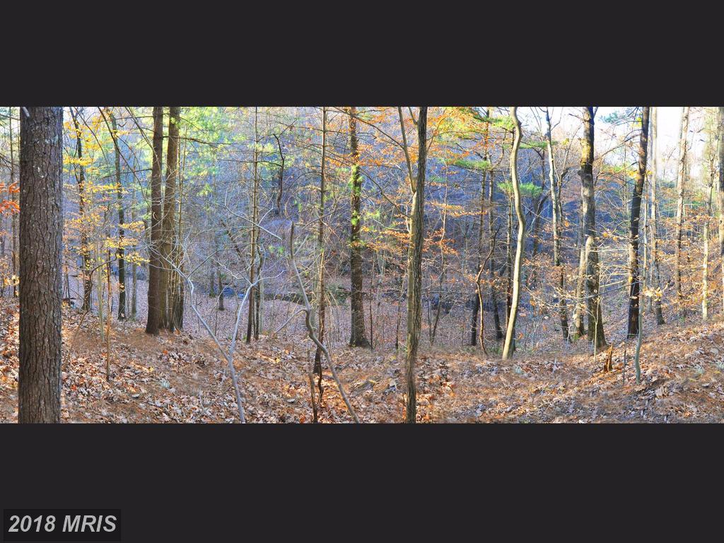 LOT 293A Drummer Hill Road - Photo 1