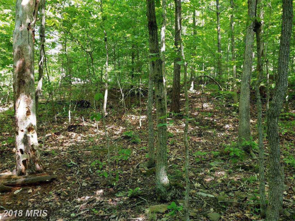 Vaught Drive - Photo 1