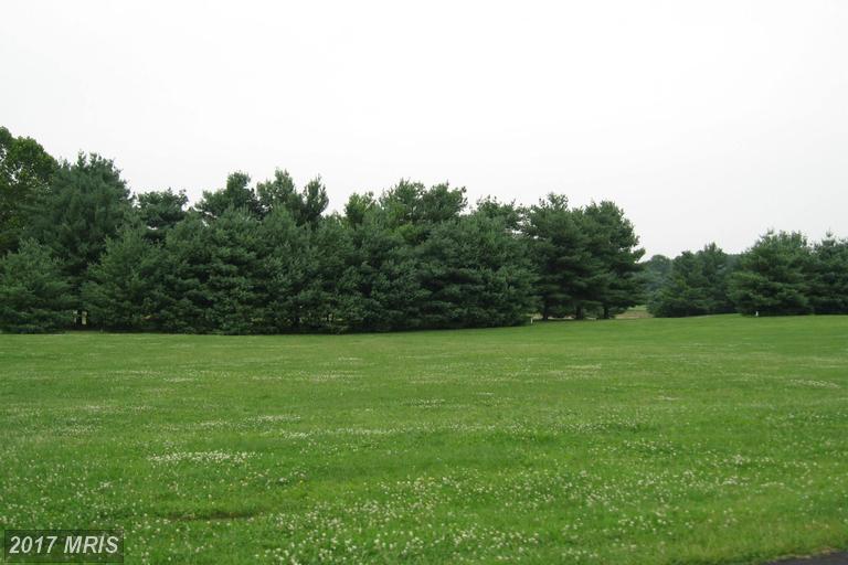 LOT 21 Bowling View Road - Photo 1