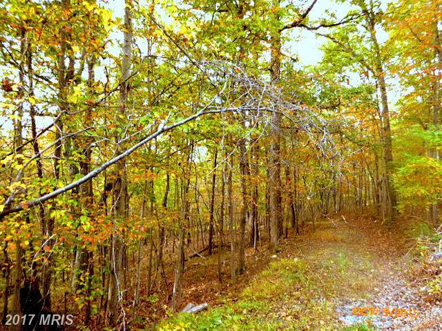LOT 67 Brandy Road - Photo 1