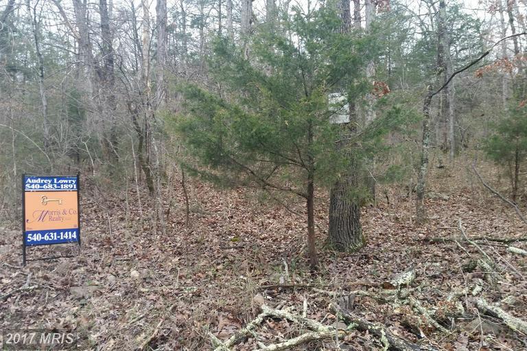 0 Panhandle Road - Photo 1