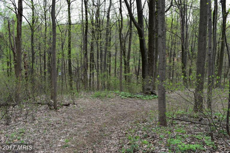 Cappy Road - Photo 1