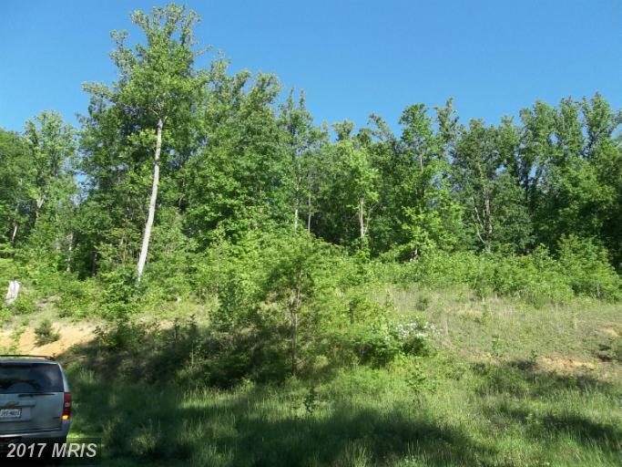 Buck Mountain Road - Photo 1