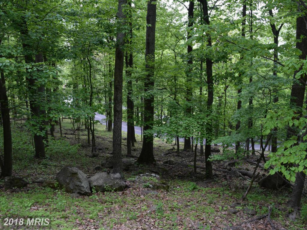 High Knob Road - Photo 1