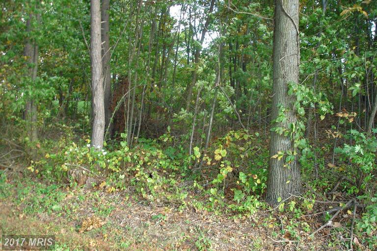 Kineman Road - Photo 1