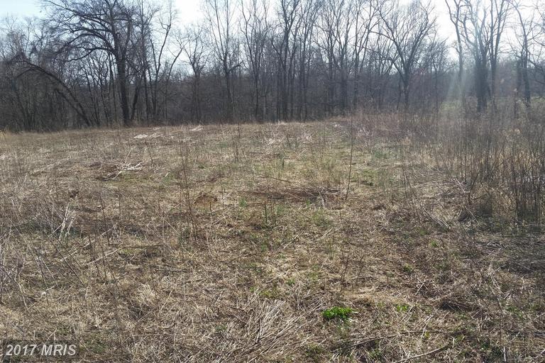 35 Black Lane - Photo 1