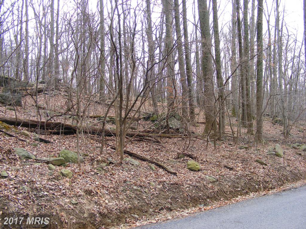 19 Echo Trail - Photo 1