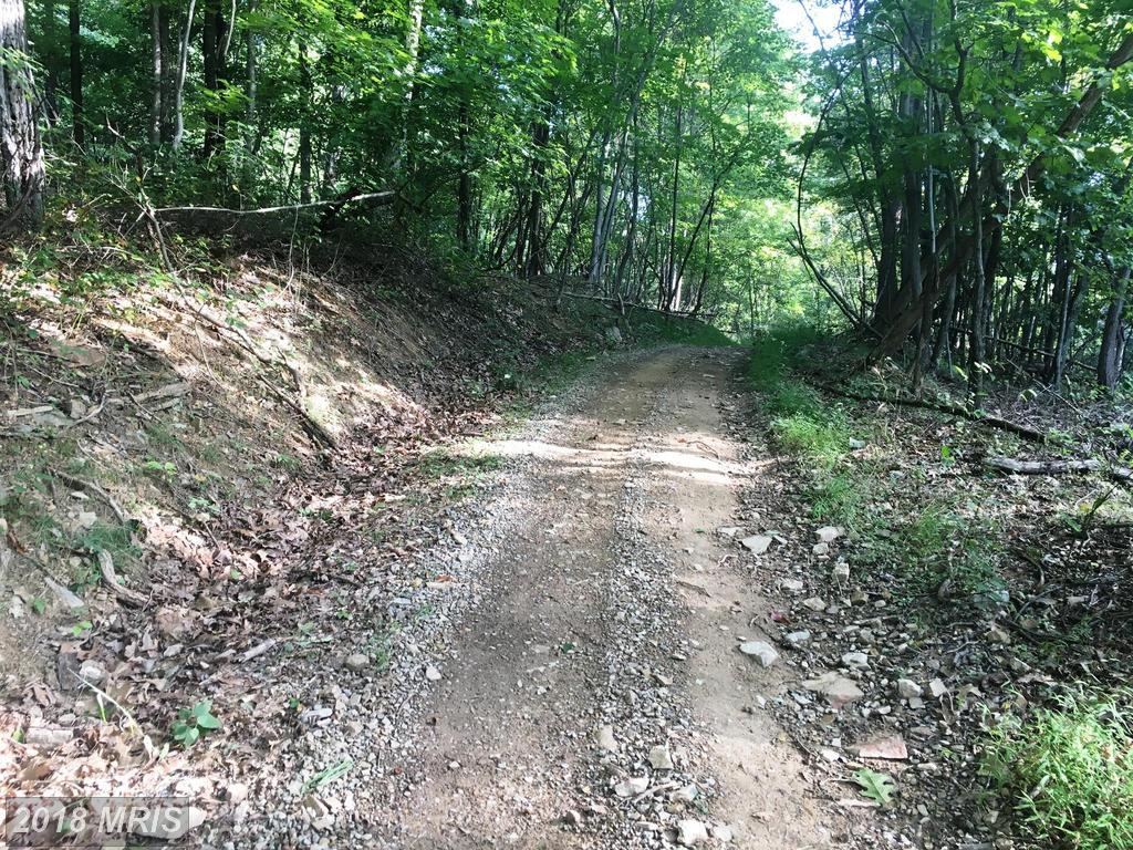 Elbinsville Road - Photo 1