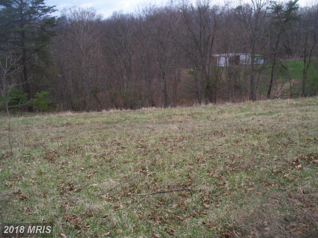11415 Oak Tree Ridge Road - Photo 1
