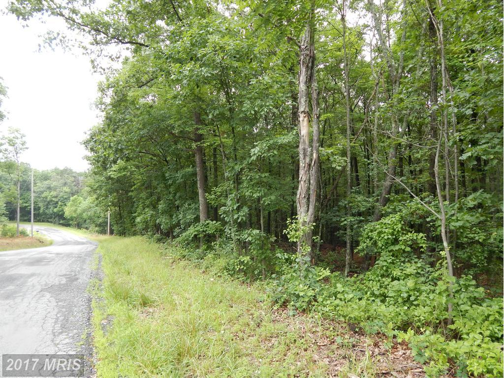 Old Williams Road - Photo 1