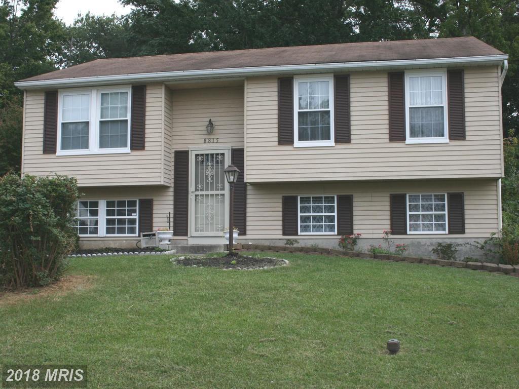 8815 Golden Tree Lane - Photo 1