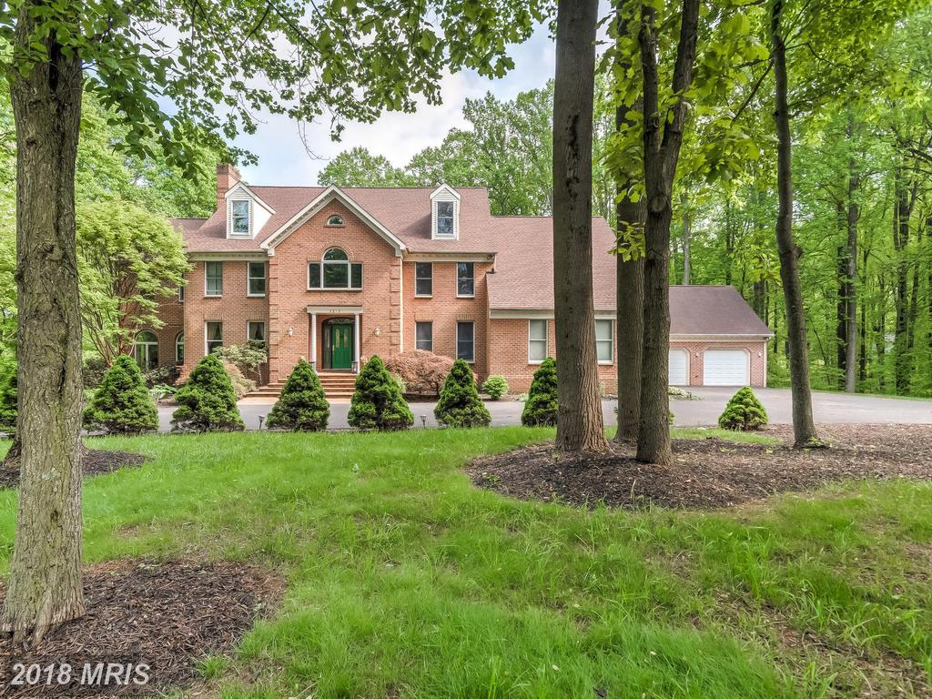 3813 Timber View Way - Photo 1
