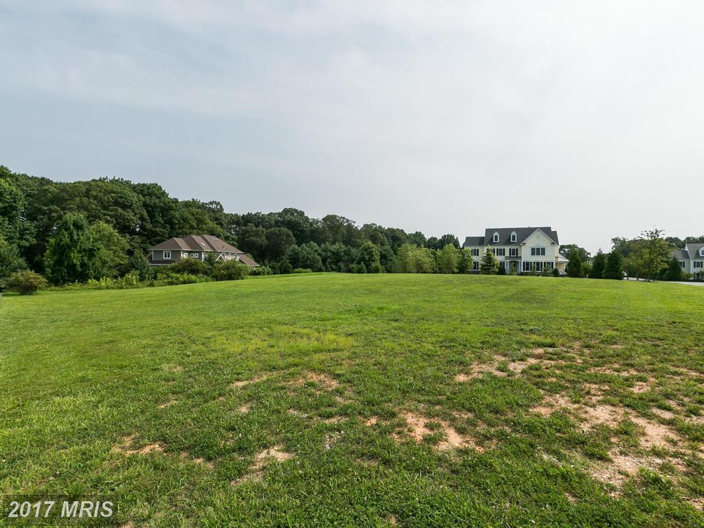 12615 Nancy Lee Court - Photo 1