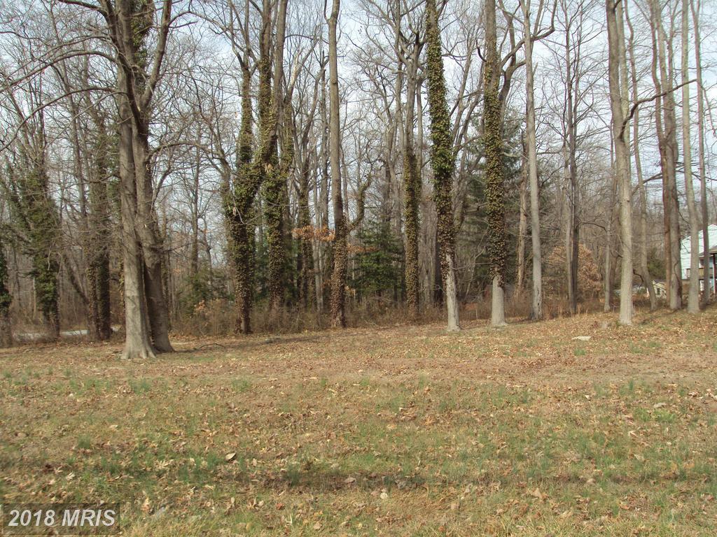 0 Turkey Point Road - Photo 1
