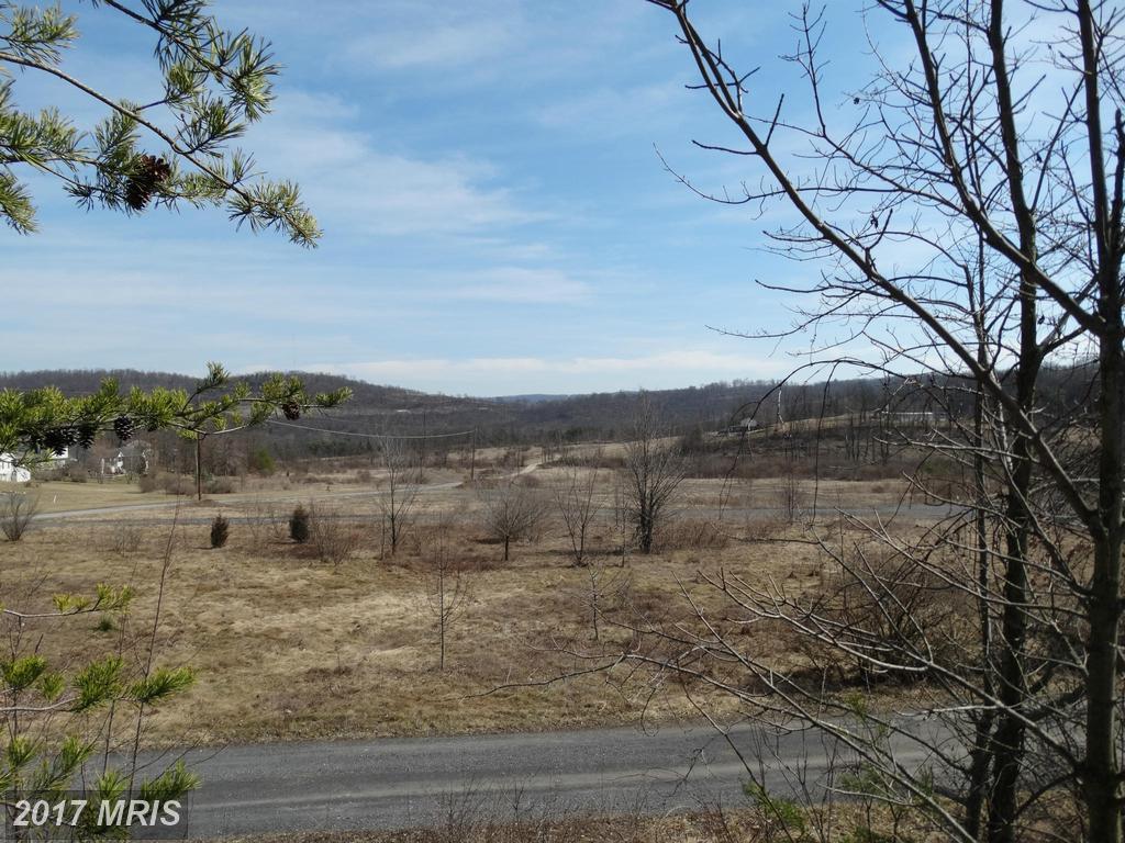 Lingenfelter Drive - Photo 1