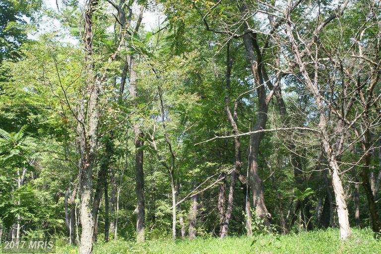 LOT 21 Pine Ridge Road - Photo 1