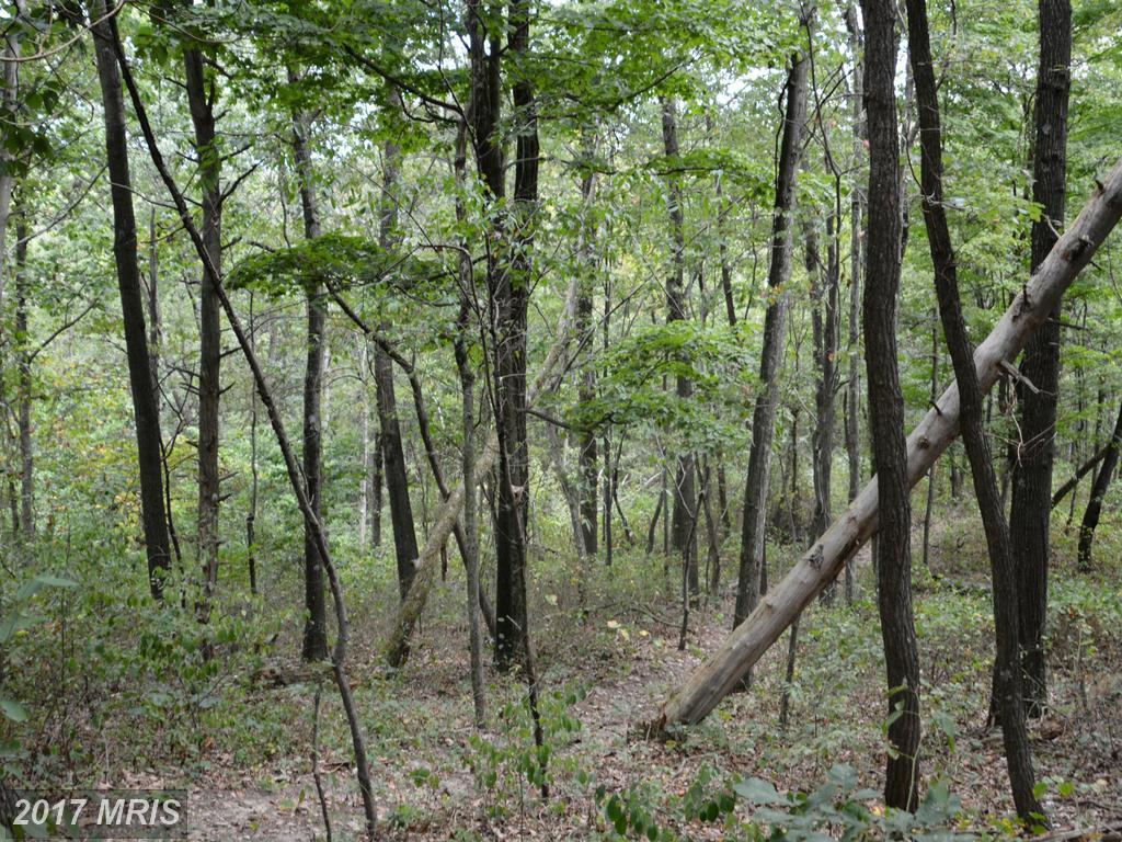LOT 14 Pine Ridge Road - Photo 1