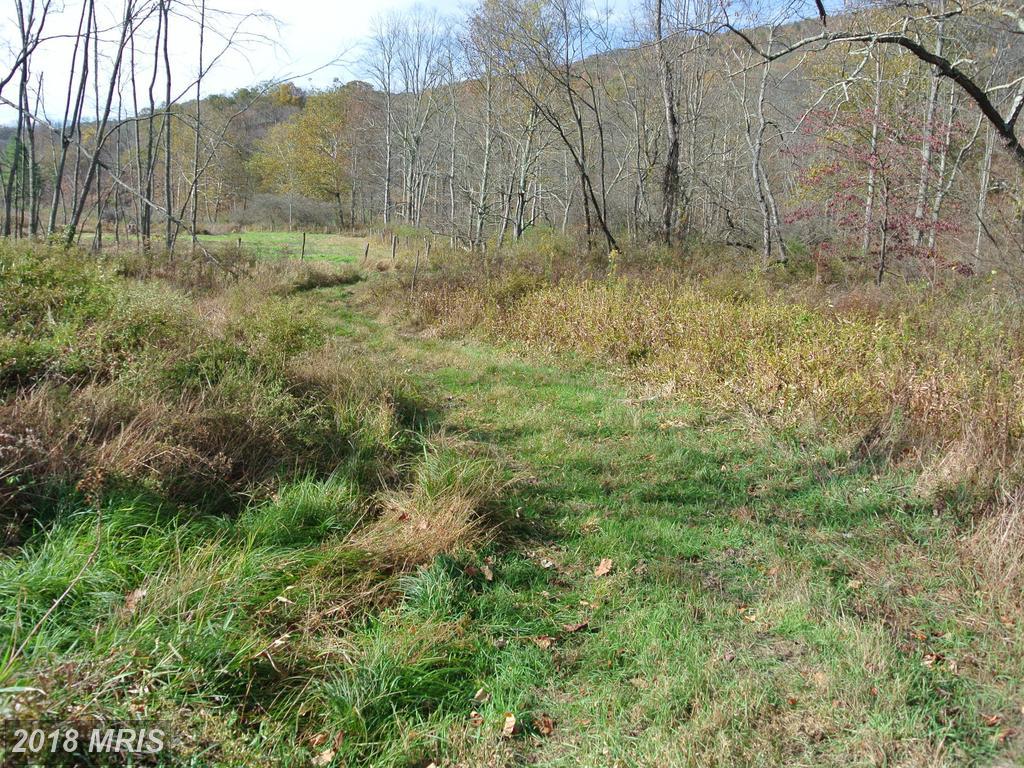 Flintstone Creek Road - Photo 1