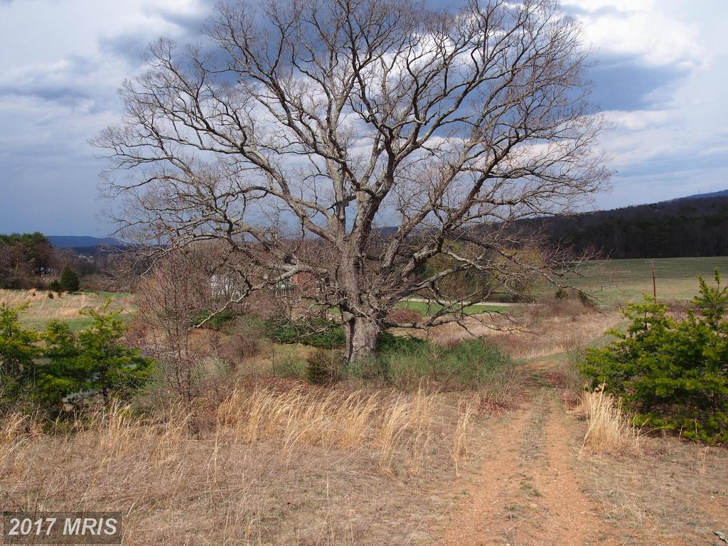 Puffenburger Lane - Photo 1