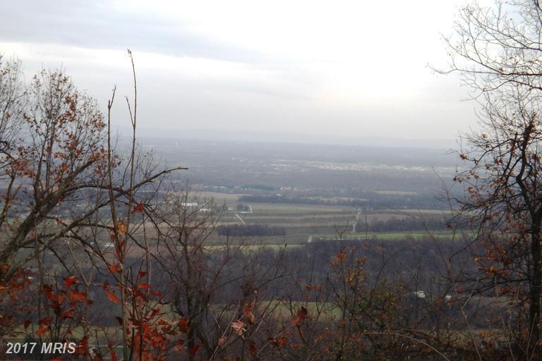 Tuscarora Pike - Photo 1