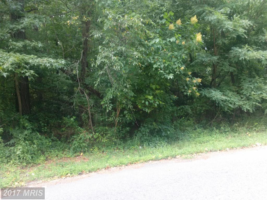892 Crystal Rock Road - Photo 1