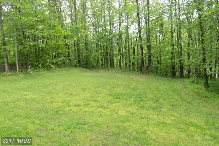 8410 Pushaw Station Road - Photo 1