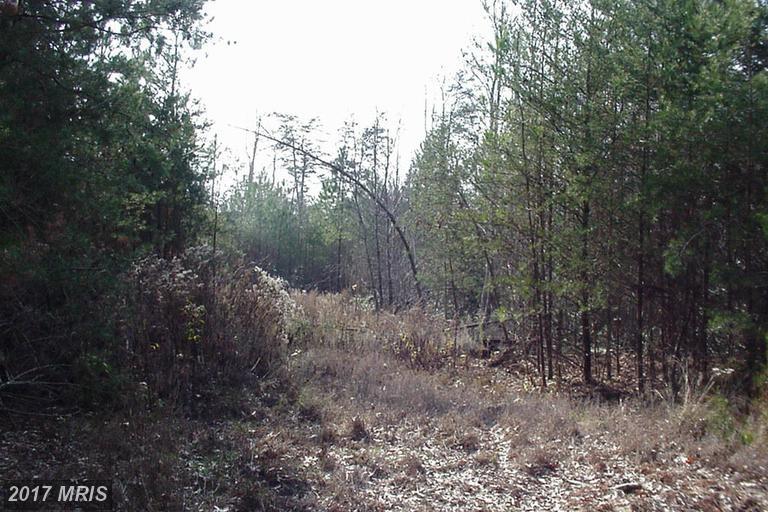 4650 Balls Graveyard Road - Photo 1