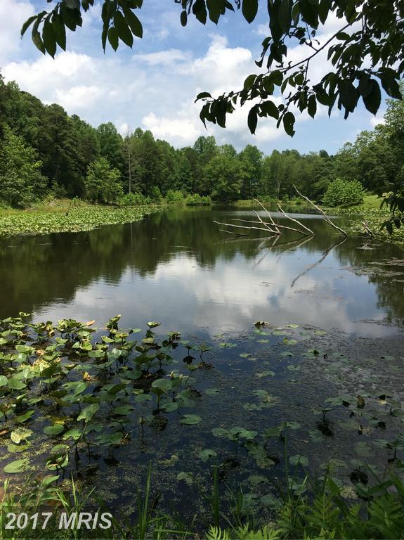 912 Ponds Wood Road - Photo 1