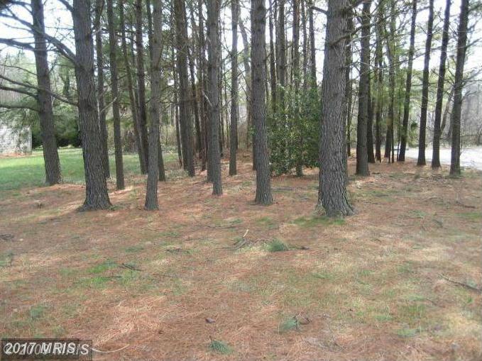 773 Sandy Wash Circle - Photo 1