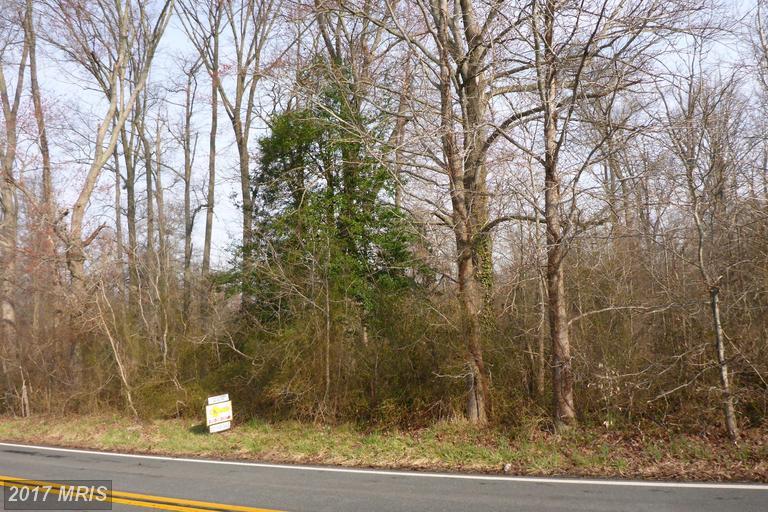 456 Saint Augustine Road - Photo 1