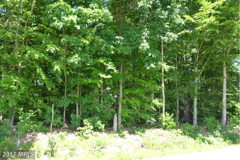 LOT 2A Washington Schoolhouse Road - Photo 1