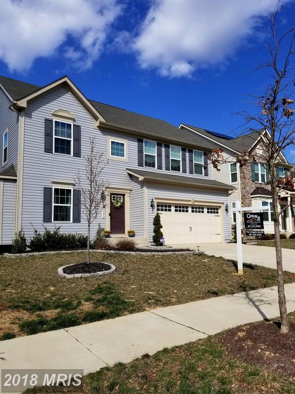5372 Blue Crab Lane - Photo 1